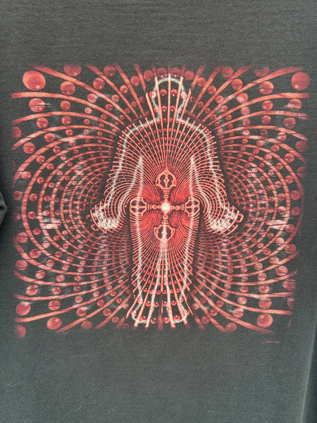 Vintage Tool 2002 Lateralus Tour T Shirt L/XL